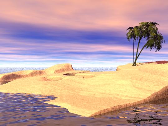 beach.jpg