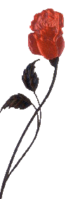 rose.gif